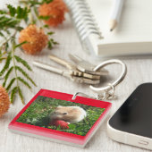 Porte-clés Hammies avec des fraises (Devant Droit)