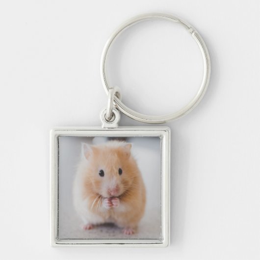 Porte-clés hamster (Devant)
