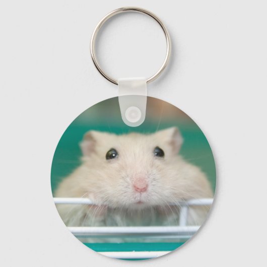 Porte-clés Hamster : Mendier pour attirer l'attention (Recto)