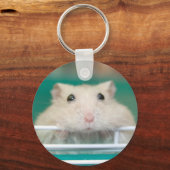 Porte-clés Hamster : Mendier pour attirer l'attention (Recto)