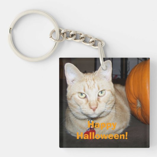 Porte-clés Happy Halloween Tabby Chat orange avec Citrouille (Devant)