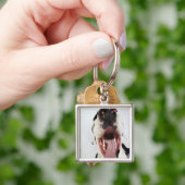 Porte-clés Harlequin great dane avec la bouche ouverte, plan (main)