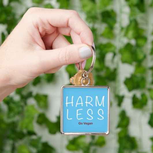 Porte-clés Harm Less (main)