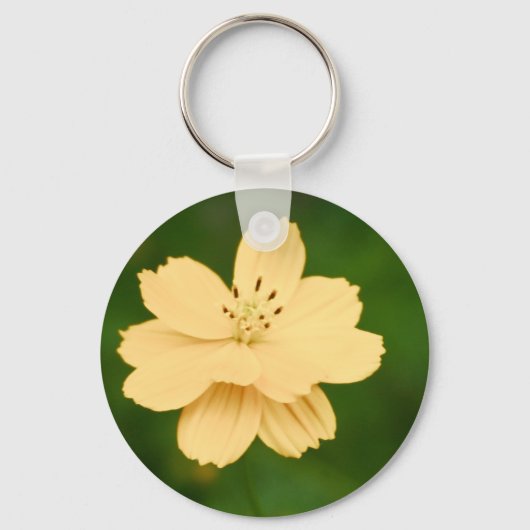 Porte-clés Harmonie pacifique (Recto)