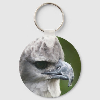 Porte-clés Harpy Eagle