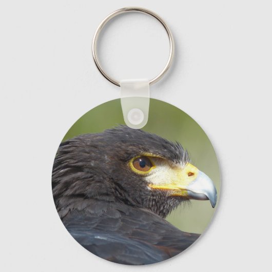 Porte-clés Harris Hawk (Recto)
