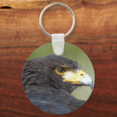 Porte-clés Harris Hawk (Recto)