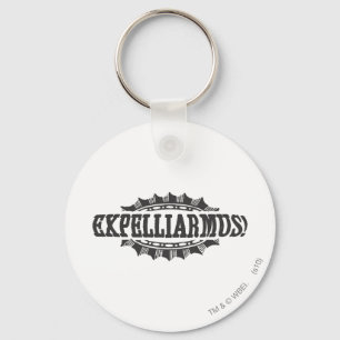 Porte-clés Harry Potter Spell   Expelliarmus!