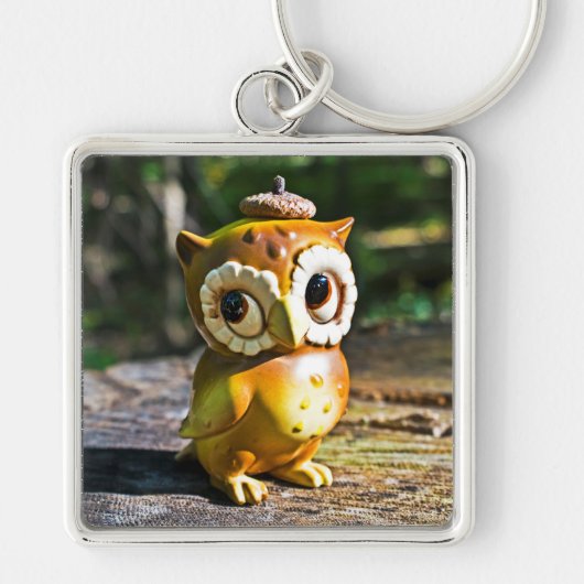 Porte-clés Harvey the Owl III (Devant)