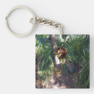 Porte-clés "Haut dans les arbres : Un arbre australien grimpe