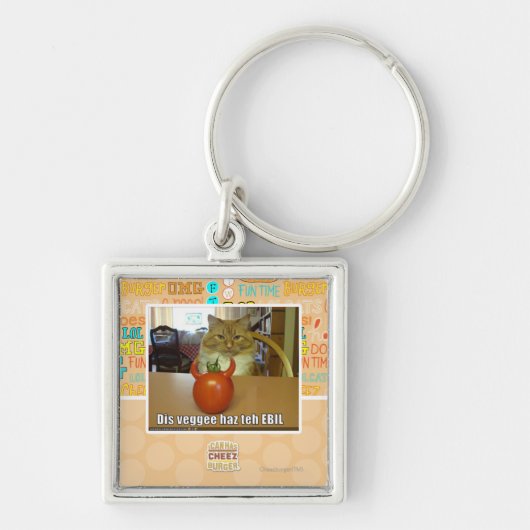 Porte-clés Haz de veggee de DIS l'EBIL (Devant)