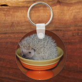Porte-clés Hedgehog Sundae (Recto)