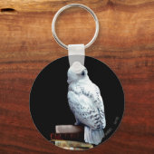 Porte-clés Hedwig dans les livres (Recto)