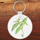 Porte-clés Herbe de menthe (Recto)