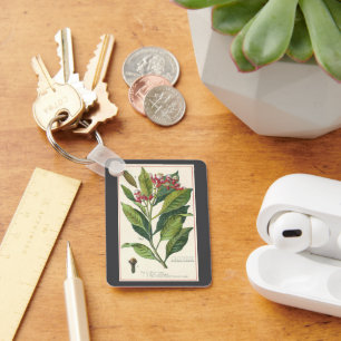 Porte-clés Herbes et épices alimentaires vintage, plante de c