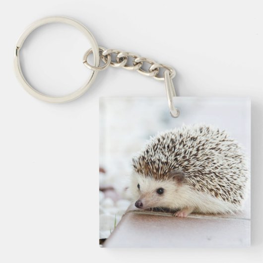 Porte-clés Hérisson mignon de bébé (Devant)