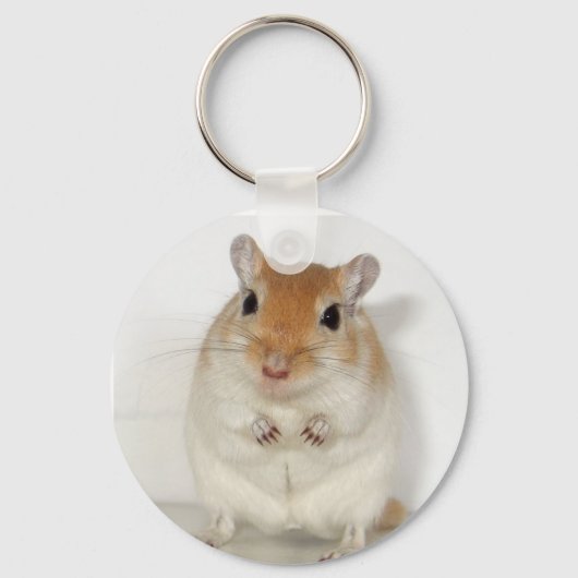 Porte-clés Herman le Porte - clé Gerbil (Recto)
