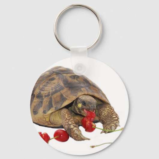 Porte-clés Hermann Tortoise and Strawberries (Recto)