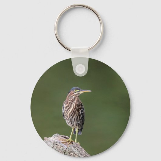 Porte-clés Héron vert sur un log (Recto)