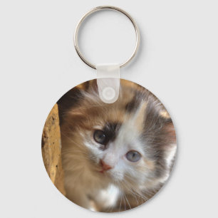 Porte-clés Heterochromie Calico Kitten
