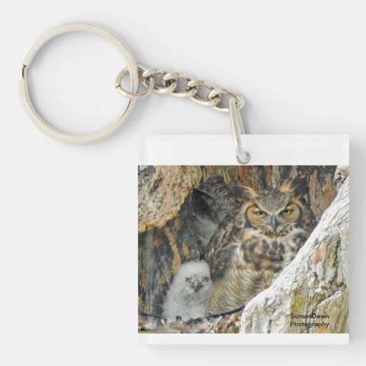 Porte-clés Hibou à cornes blanches (Devant)