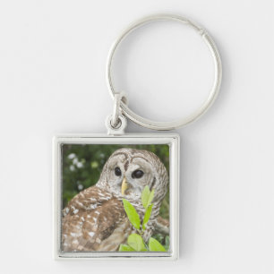 Porte-clés Hibou barré