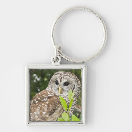 Porte-clés Hibou barré (Devant)
