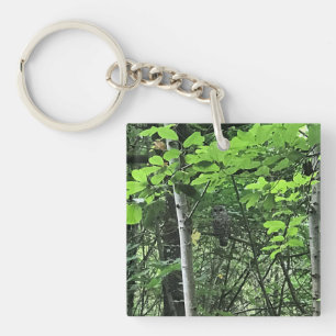 Porte-clés Hibou dans les arbres, Oregon