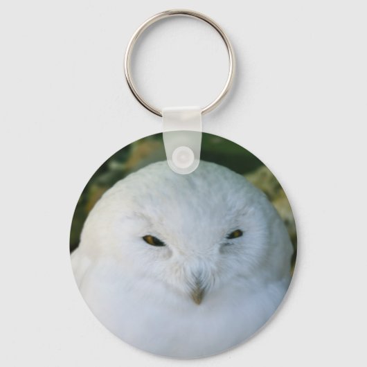 Porte-clés Hibou des neiges (Recto)
