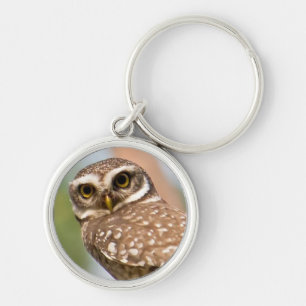 Porte-clés Hibou repéré sur le vol de matin