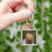 Porte-clés Highland Cattle (main)