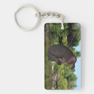 Porte-clés Hippo de canonball