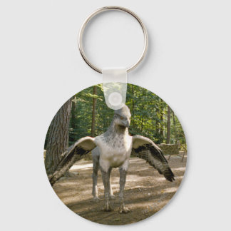 Porte-clés Hippogriff