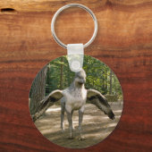 Porte-clés Hippogriff (Recto)