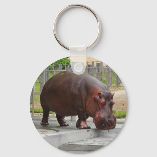 Porte-clés Hippopotamus #2 Porte - clé (Recto)
