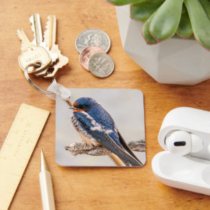 Porte-clés Hirondelle rustique, oiseau chanteur bleu brillant