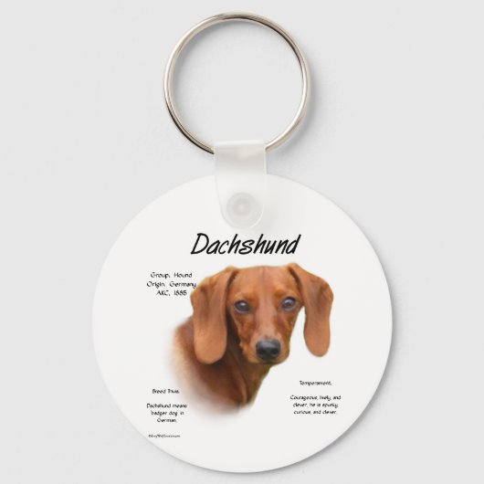 Porte-clés Histoire de Dachshund lisse (Recto)