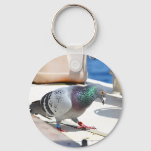 Porte-clés Hommage Pigeon Sur Un Yacht
