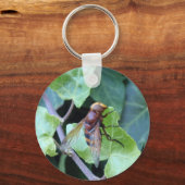 Porte-clés Hornet (Recto)