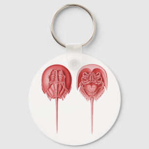 Porte-clés Horseshoe Crab
