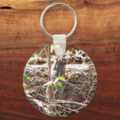 Porte-clés Hot Springs Mountain, Arkansas Chipmunk Cadfts (Recto)