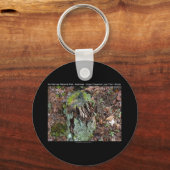 Porte-clés Hot Springs National Park, AR Upper Dogwood Loop (Recto)