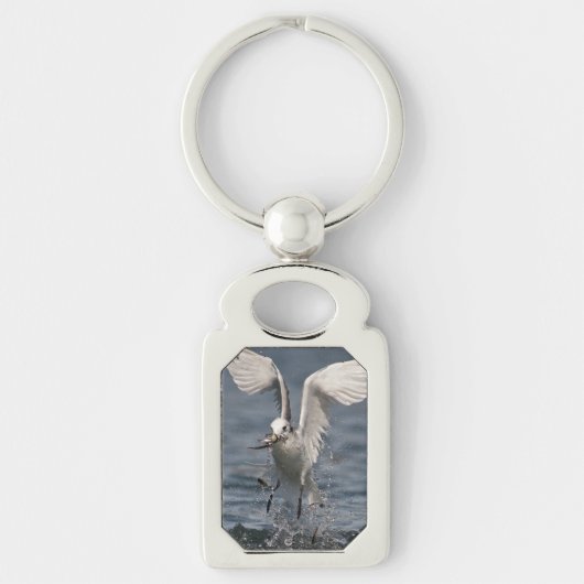 Porte-clés Hovering Kittiwake (Devant)