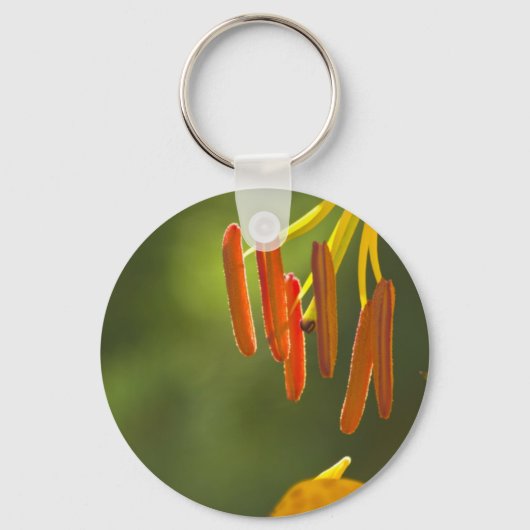 Porte-clés Humboldt Lily Stamens (Recto)
