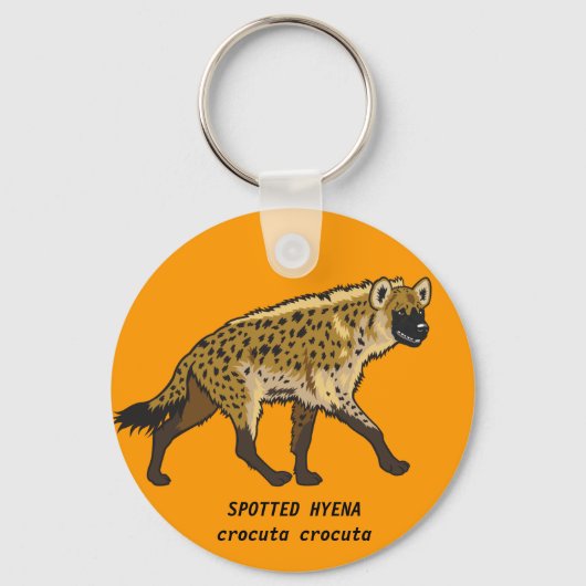 Porte-clés hyène tachetée (Recto)