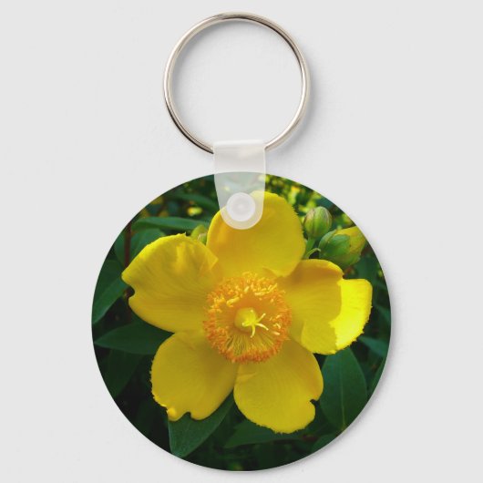 Porte-clés Hypericum Hidcote (Saint-Jean) (Recto)