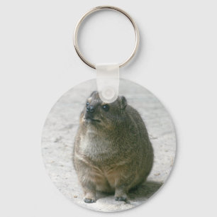 Porte-clés Hyrax de roche