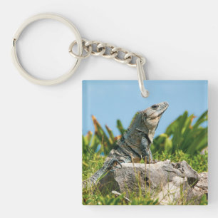 Porte-clés Iguana