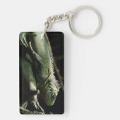 Porte-clés Iguana délicatissima (Dos)