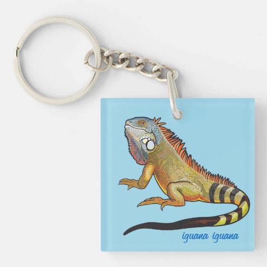 Porte-clés iguane vert (Devant)